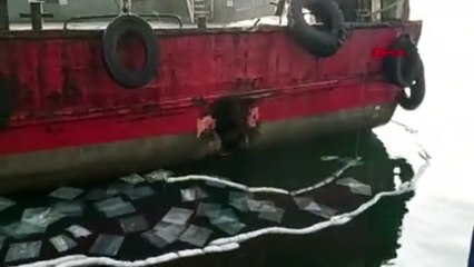 İstanbul'dan sonra Çanakkale Boğazı'nda tekne kazası