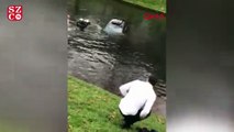 Almanya'da bir Türk, araçlarıyla kanala düşen çifti kurtardı