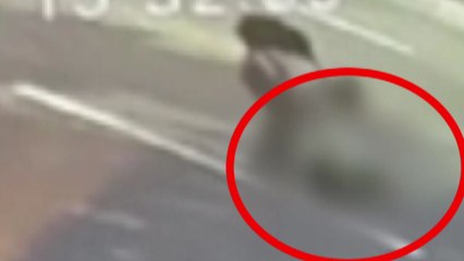 '초등생 뺑소니' 카자흐스탄인 2년 6개월 징역형 / YTN