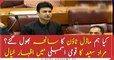 Have we forgotten Model Town incident? Murad Saeed in NA