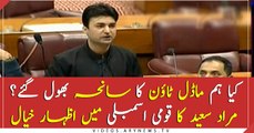 Have we forgotten Model Town incident? Murad Saeed in NA