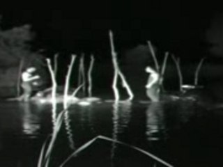 DE L'EAU DANS LES OREILLERS version 2007