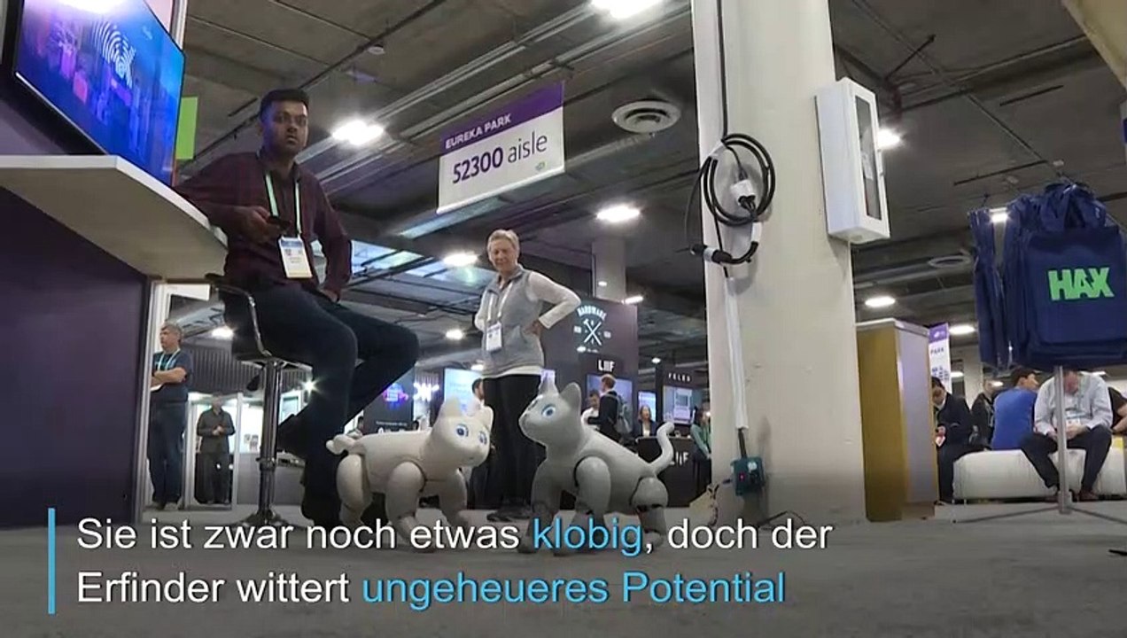 Roboter-Katzen verzücken Besucher auf der CES