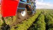 WOW! Amazing Agriculture Technology 2020 | Modern Farming Technology For a Next Level of Productivity | Modern Technology Agriculture Huge Machines, Best agriculture technology 2020 | agriculture food technology processing machines