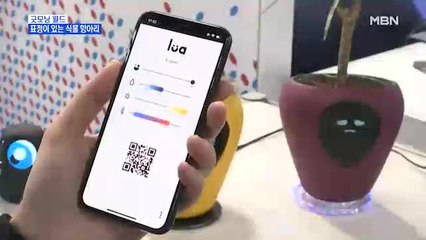 [굿모닝월드] 표정이 있는 식물 항아리