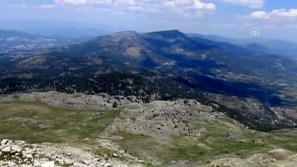 Denizli'de yeni bir bitki türü keşfedildi (2)