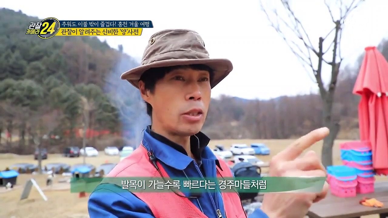 양은 이가 없다?! 전문가가 알려주는 '양'의 모든 것!