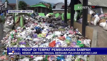 Pasca Digusur Nenek Jumirah Tinggal di TPS Bersama Kucing Liar