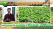 Kisan Bulletin :   अब खेतों में उगेगा कमल का फूल, NBRI के Mission Lotus से होगी कमल की खेती | Grameen News
