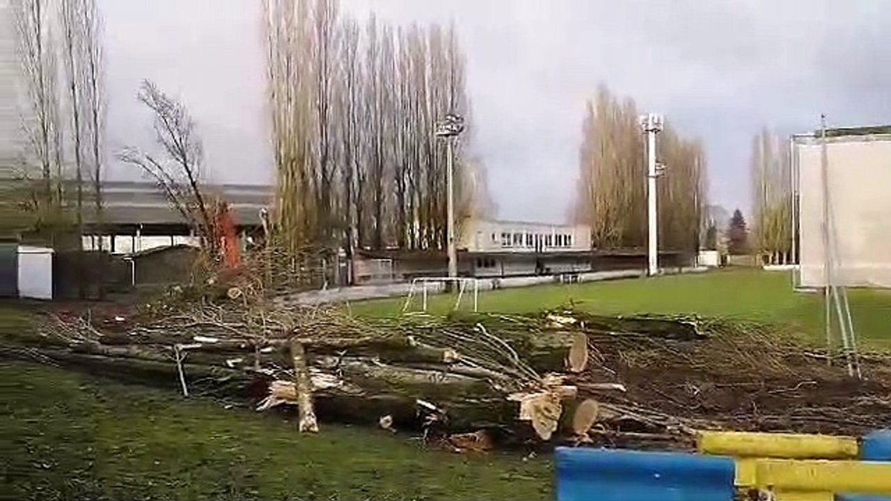 Abattage des peupliers du terrain du Royal Dottignies Sport