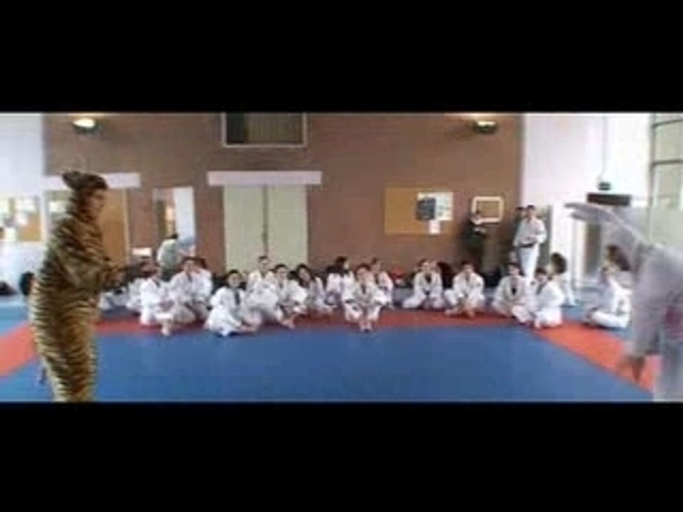 combat kung fu style du tigre et du lapin