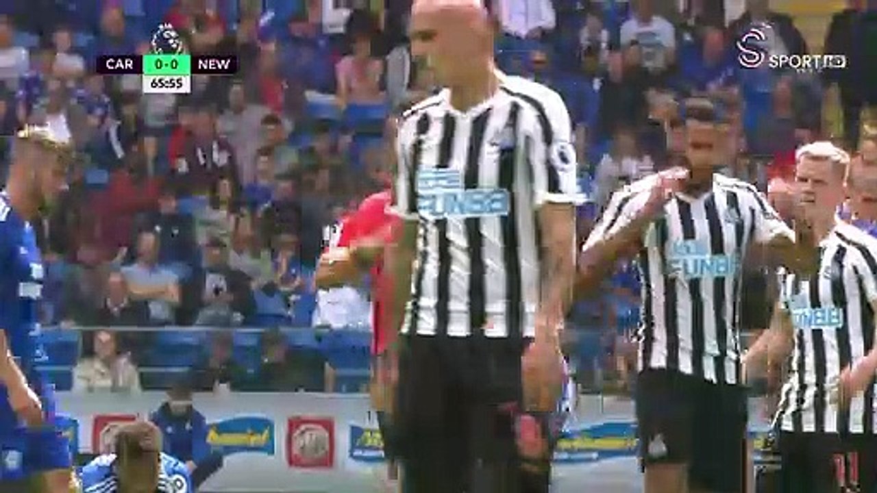 Cardiff - Newcastle United