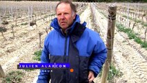 Test de vêtements contre le froid en viticulture - MSA Grand Sud