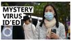 Mystery pneumonia virus identified in China