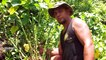 Wallis et Futuna : La culture du Kava