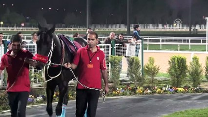 4. Özgecan Aslan Koşusu