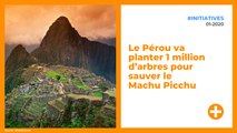 Le Pérou va planter 1 million d’arbres pour sauver le Machu Picchu