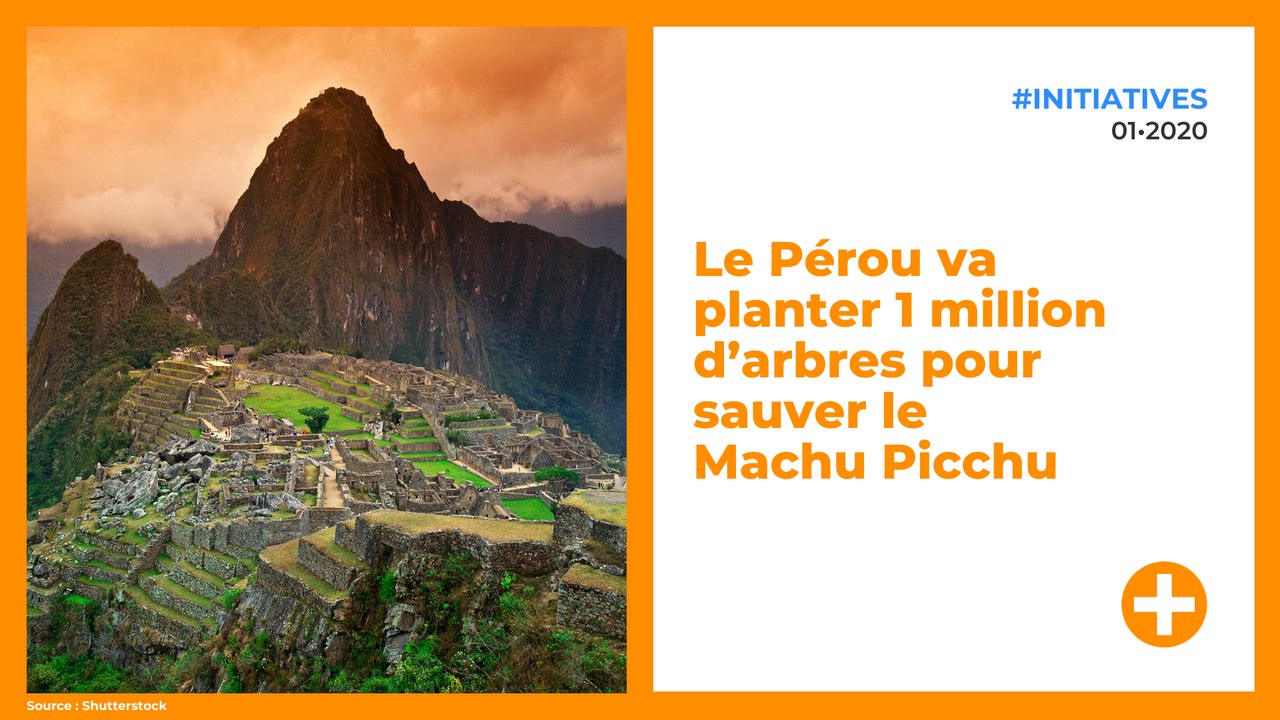 Le Pérou va planter 1 million d’arbres pour sauver le Machu Picchu
