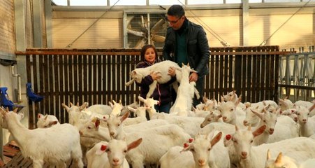 Kızı süt içsin diye kurduğu çiftlikle zincir marketlere girdi