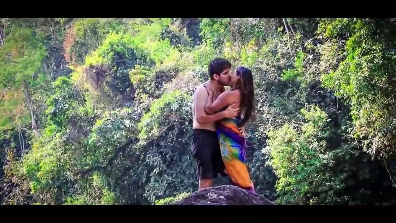 EL LOBO Y LA SOCIEDAD PRIVADA -- DECIRTE ADIÓS ( videoclip RVL MUSIC)