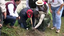 Machu Picchu : le président péruvien veut planter un million d'arbres