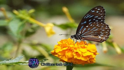 wow!! beauty of nature