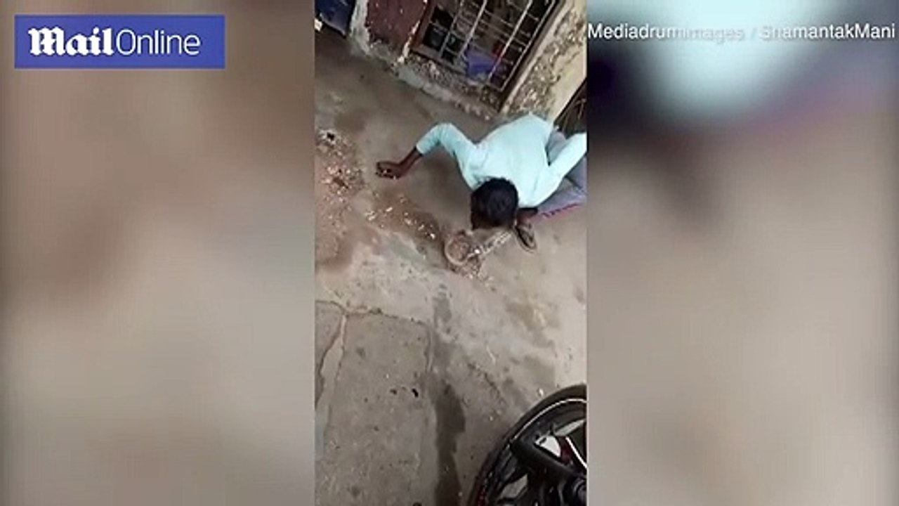 مخمور يحاول تقبيل أفعى الكوبرا والنتيجة صادمة