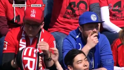 Bayer Leverkusen - Schalke 04