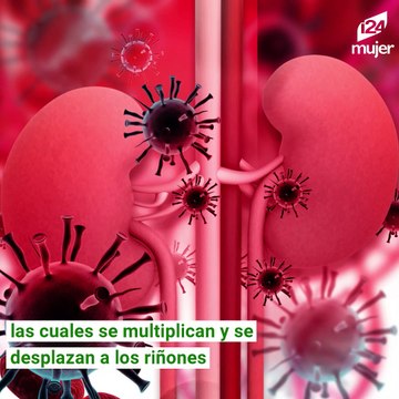 Infección renal: síntomas, causas y riesgos