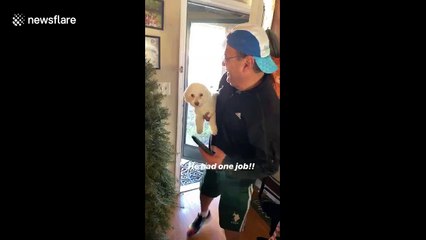 US husband returns home from groomers with the WRONG dog