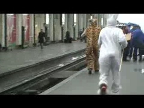 sauvons mardi gras ... who's that girl