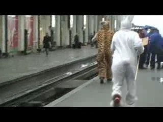 sauvons mardi gras ... who's that girl