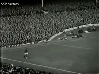 Brezilya-Portekiz (1966)