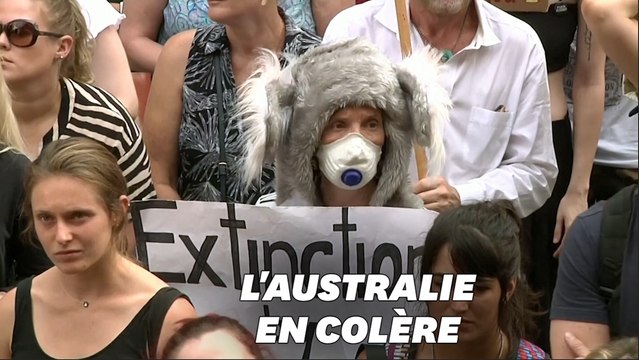 Les Australiens manifestent contre la gestion des incendies de leur Premier ministre