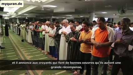 Best Quran Recitation in the World - Emotional Recitation - Heart Soothing by Anas Bourak
