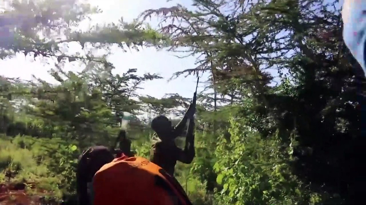 Swarms of locusts threaten food security in Kenya: govt