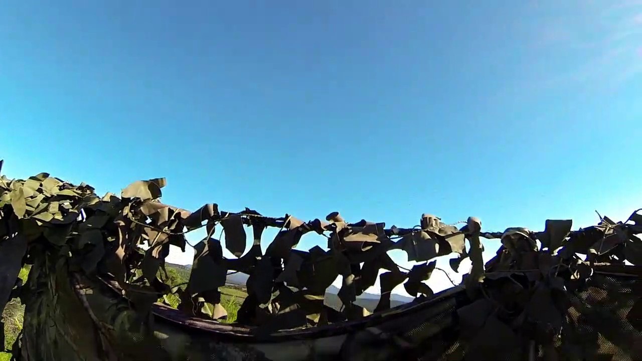 Chasse et tirs de palombes 2017 2018