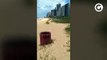Homem encontra caramujos na Praia da Costa, Vila Velha