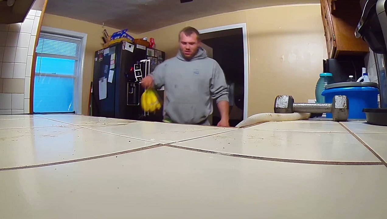 Dog Caught Banana Thieving
