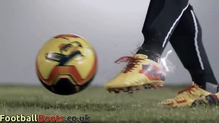Cesc Fabregas