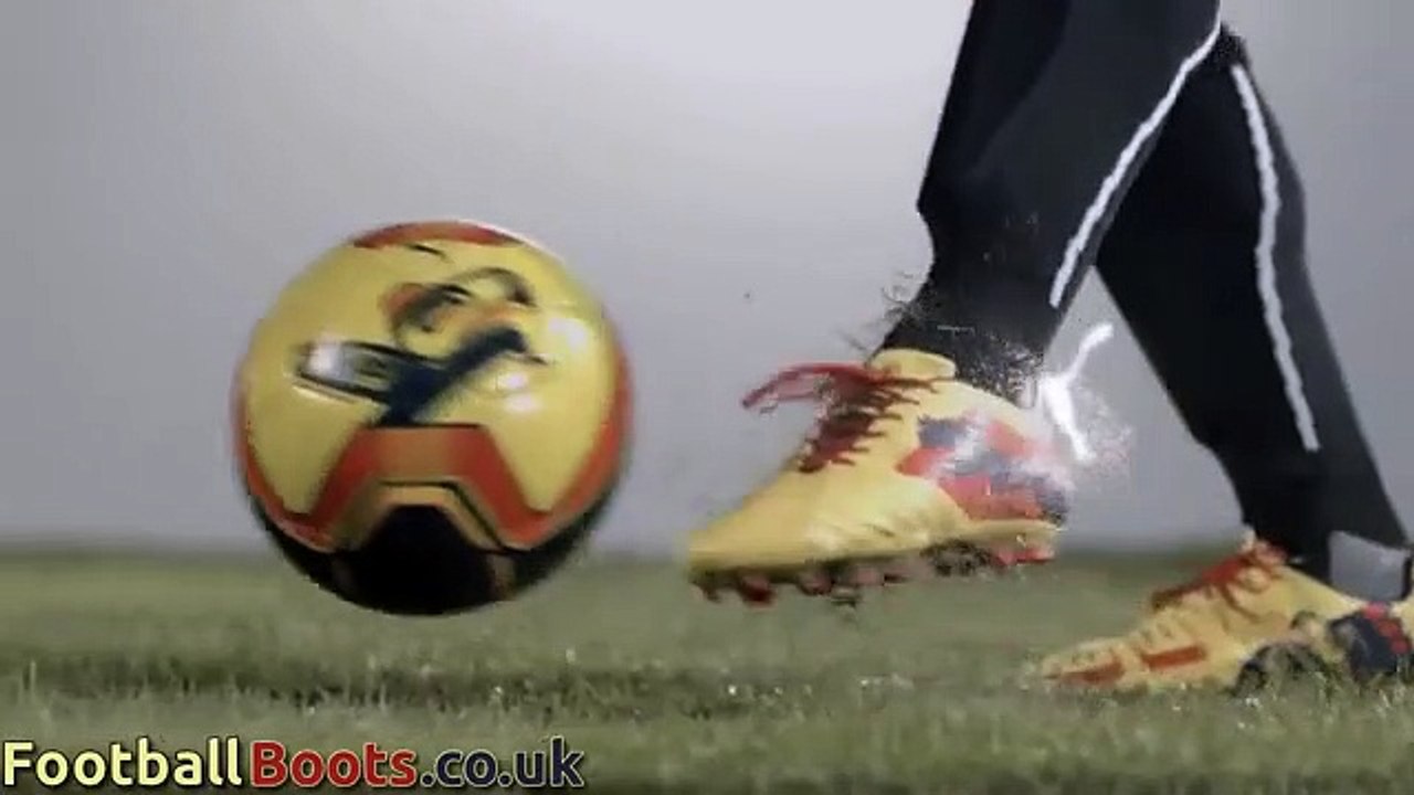 Cesc Fabregas