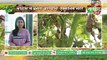 Kisan Bulletin : प्रदेश की मिट्टी का उपचार कराएगी बिहार सरकार  | GrameenNews