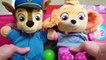 Paw Patrol's Skye and Chase's fun day at the Playground and No Bullying at School Baby Pups Videos-