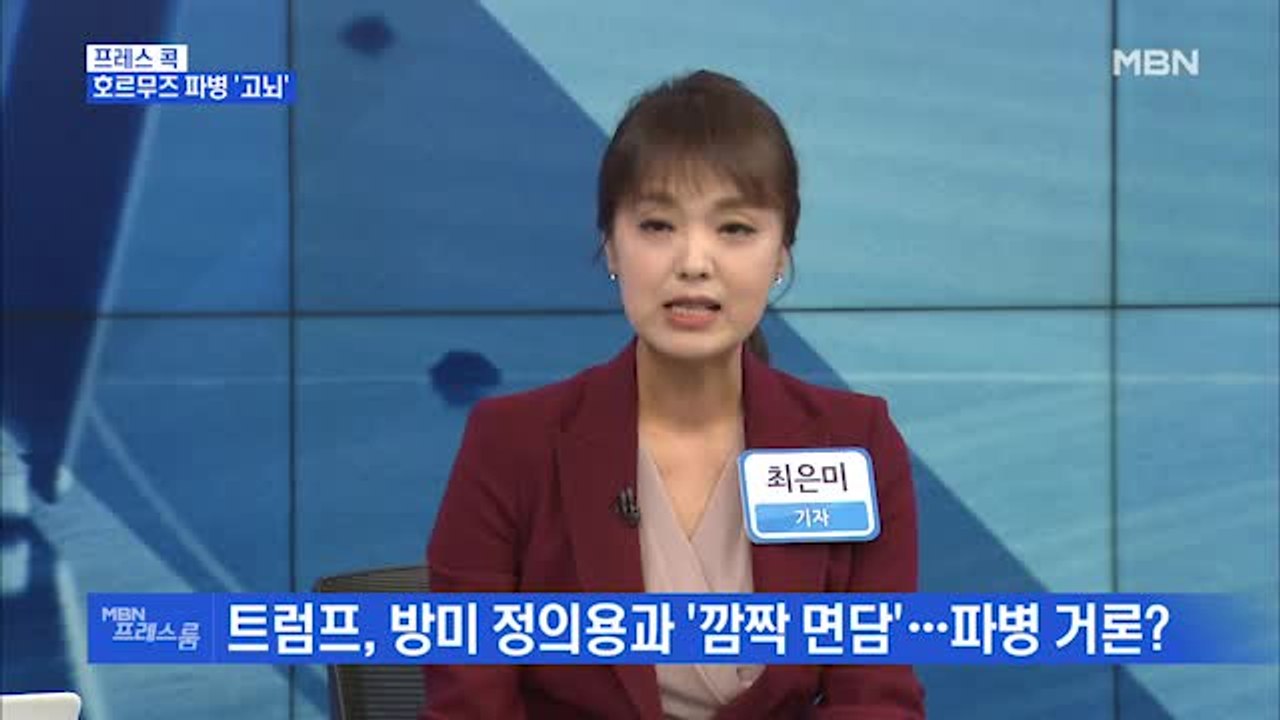 [MBN 프레스룸] 프레스 콕 / 호르무즈 파병 '고뇌'
