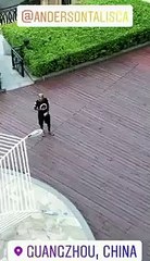 Beşiktaş'ın eski yıldızları Dusko Tosic ve Anderson Talisca, Çin'de birlikte üçlü çekiyorlar