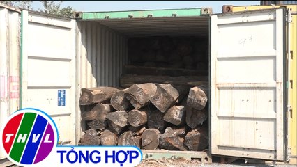 Khám xét 50 container gỗ nhập khẩu nghi là gỗ giáng hương trị giá hơn 10 tỷ đồng