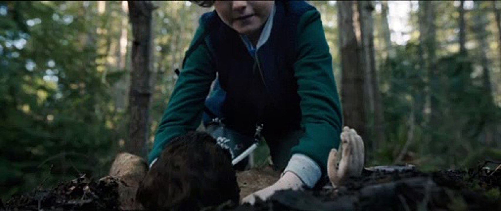 BRAHMS THE BOY 2 Film