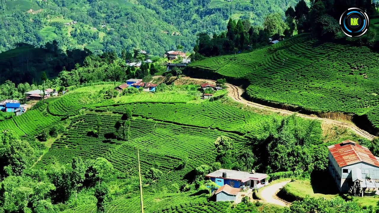 Kanyam ilam, Nepal कन्याम इलाम, नेपाल