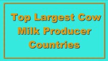 Top Largest Cow Milk Producer Countries