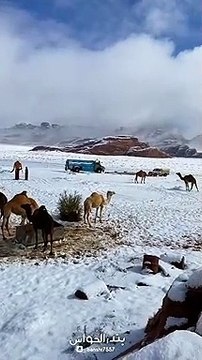 Snow fall 1st time in Saudi Arabia